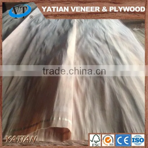 Natural Wood 0.28-0.30mm Plywood Water Gum Veneer