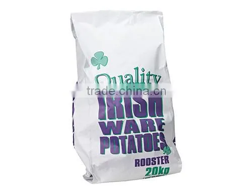 Paper Bag photo-4