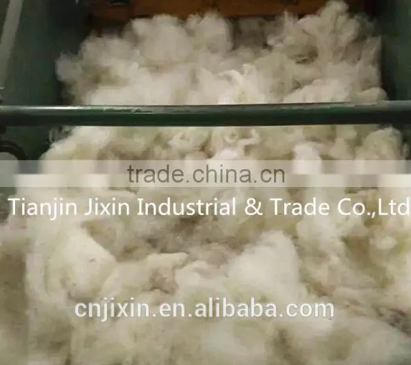 China Manufacturer 100% Cashmere Fiber for Cashmere Scarf