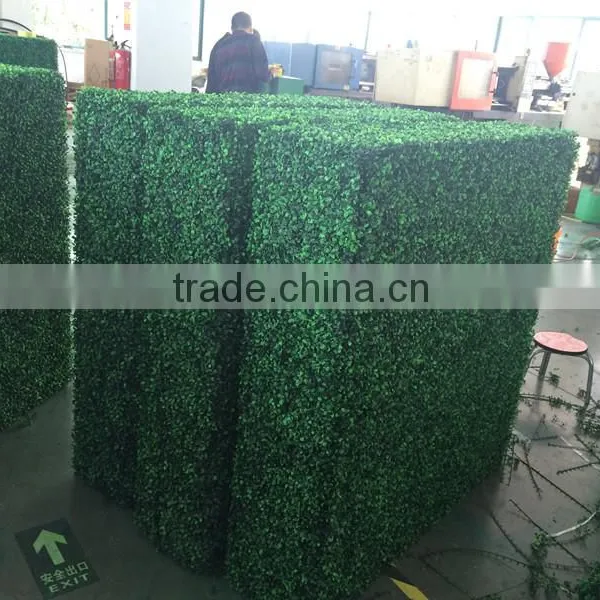 PE Plastic Green Wall Artificial Garden Boxwood Hedge for Residencial Quality Choice photo-2
