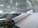 Stainless Steel Wire Cloth