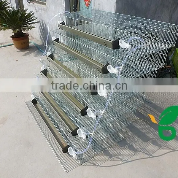 Hot Sale!commercial Galvanizd Quail Cage photo-2