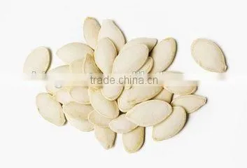 Roasted Salted Shin Skin Pumpkin Seeds