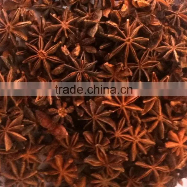 Autumn Star Aniseed photo-5