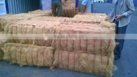 Coconut Fiber - QQ : 2598494113 photo-4