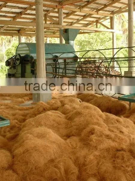 Coconut Fiber (QQ : 2598494113) photo-3