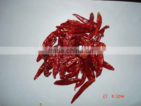 Chilli