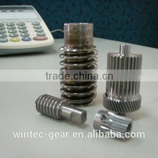 Custom-made Worm Drive Shaft
