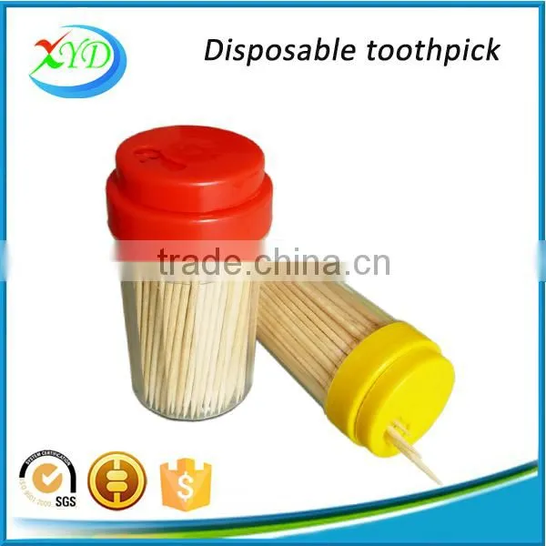 200 Piece Plastic Jars Packaging Wooden Tooth Pick photo-4
