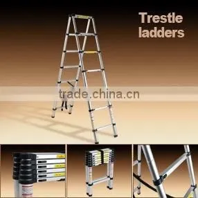 Telescopic Ladder