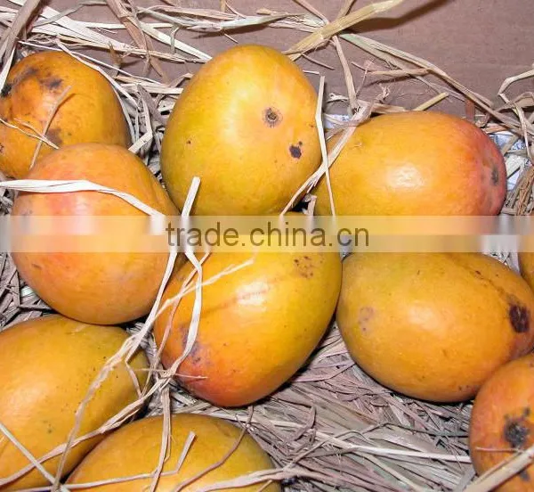 Fresh Indian Mangoes