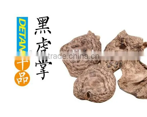 Dried Sarcodon Imbricatus Mushroom photo-4
