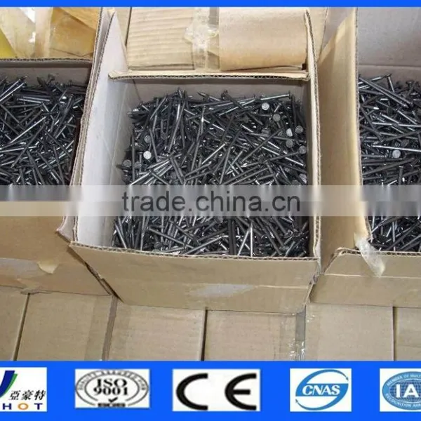Galvanized Polished Common Nails photo-2