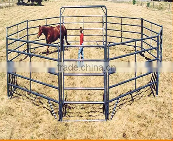 Livestock Handling Equipment for Cattle