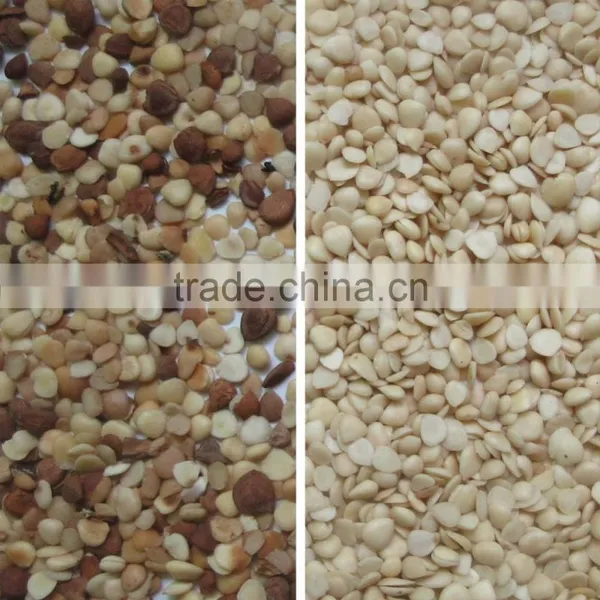 ZRWS Apricot Ccd Color Sorter Machine/raisins Color Sorting Mahcine photo-5