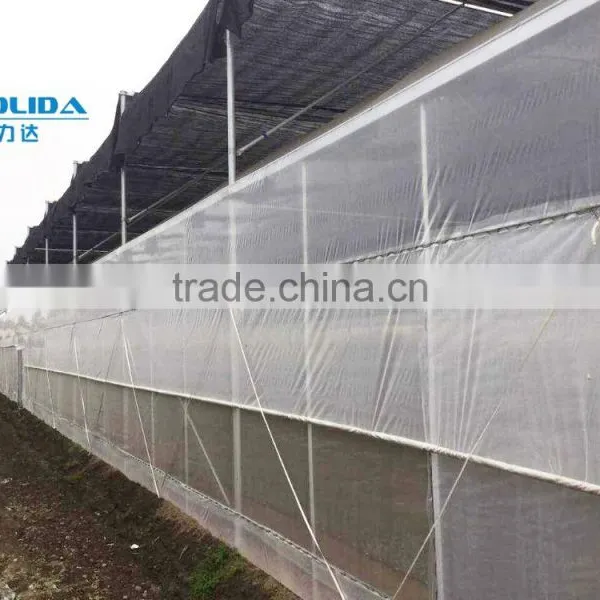 BLD Large Multi-span Venlo Plastic Film Greenhouse and Gutter Connected Greenhouse photo-2