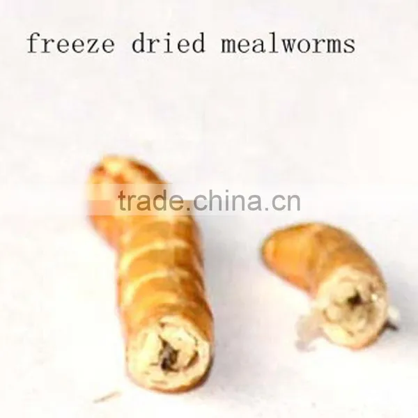 Vacuum Freeze Dried Mealworm Pet Bird Food photo-2