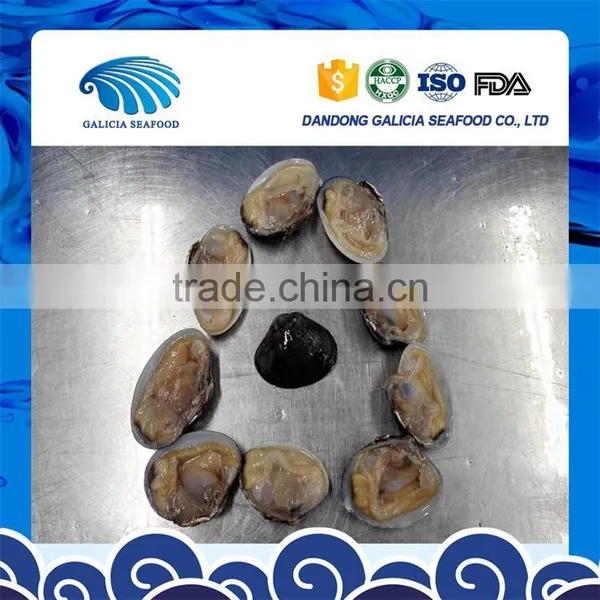 Wild Caught Frozen Baby Clam Half Shell photo-2