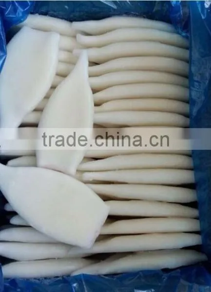 Frozen Squid Tube