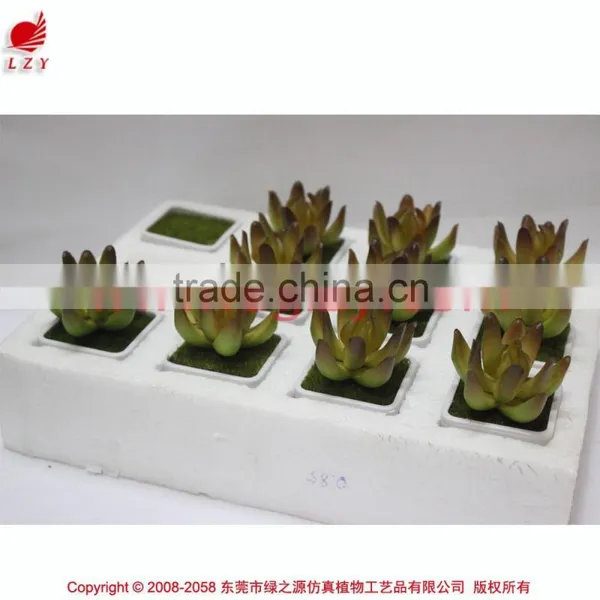 Wholesale Artificial Mini Succulent Plant Artificial Small Potted Plant photo-4