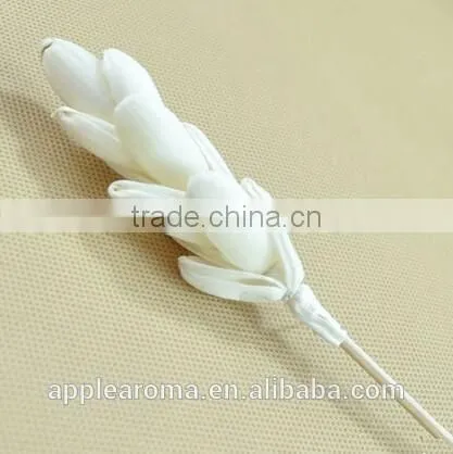 Bamboo Shoot Sola Flower Aroma Diffuser With Reed or Cotton Rope photo-3