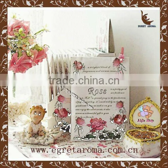 New Design Popular for Wholesale Nice Home Aire Freshener Closet Air Freshener photo-5