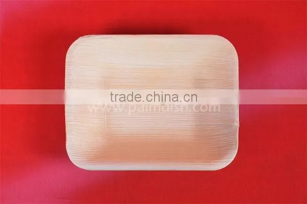 Biodegradable Tableware photo-4