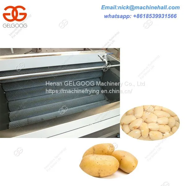 Brush Washing Machine/ Fruit and Vegetable,Potato/Carrot Brush Washer and Peeler Machine photo-2