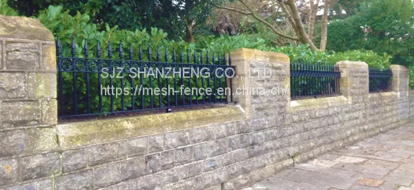 Wrought Iron Fencing/decorative Fencing/ornamental Fencing/ Steel Fencing photo-5