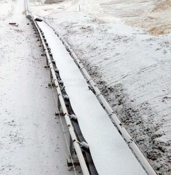 Cold Resistant Fabric Conveyor Belt