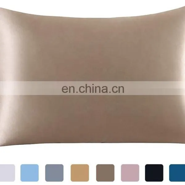 2020 Top Sell 100% 22mm Mulberry Silk Pillowcase Plain With Zipper photo-5