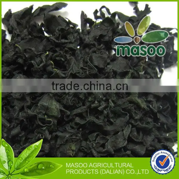 Dried Kelp Seaweed