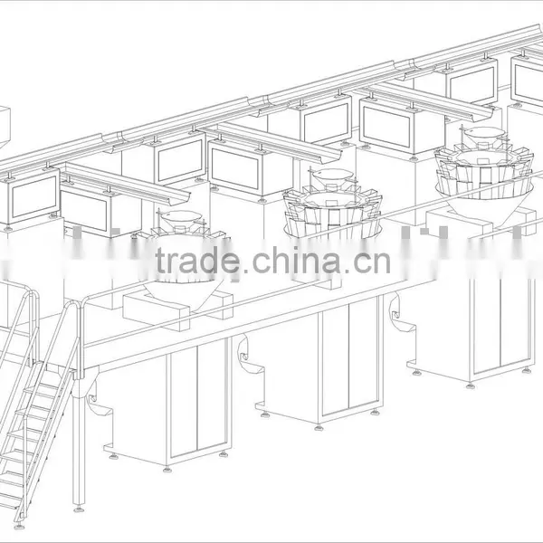 Weighing and Packing Machine