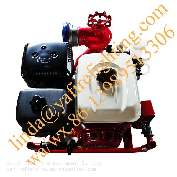 Wholesale China Emergency Portable Fire Pumps With Honda Engine photo-2