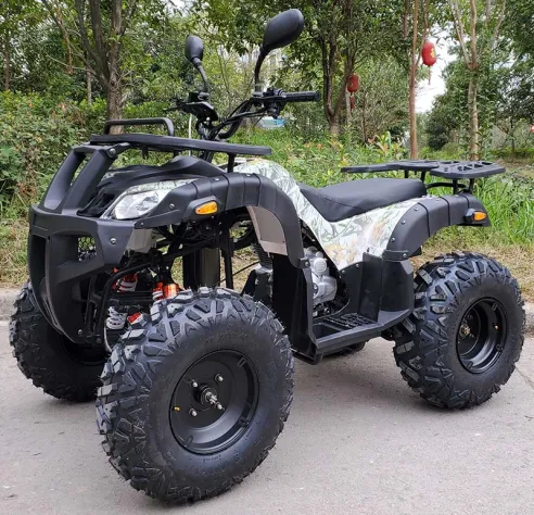High Quality off Road Tricycle Motorcycle 250CC 300CC Quad ATV UTV for Sale photo-2