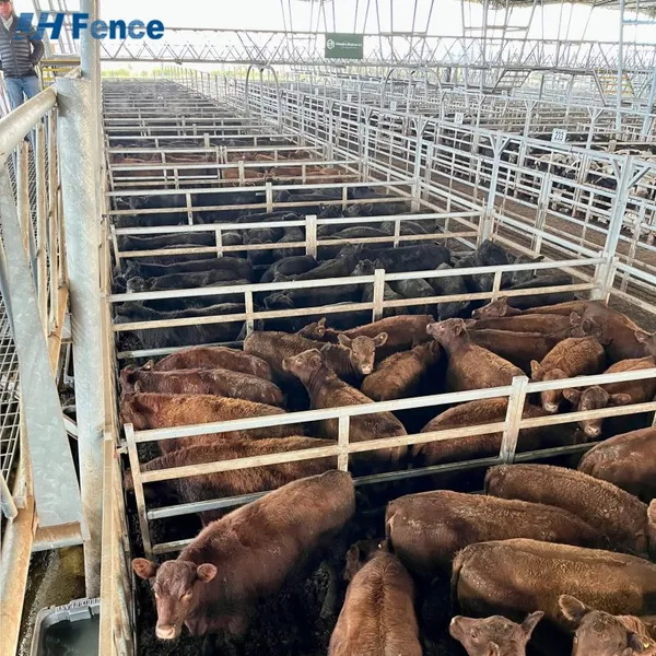 Portable Hot Dip Galvanized Steel Livestock Cattle Sheep Panels Safety Fencing Horse Yard 6ft Folding Eco-Friendly Powder photo-2