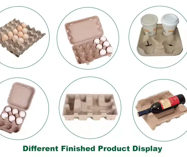 Automatic Egg Tray Egg Carton Production Line photo-3