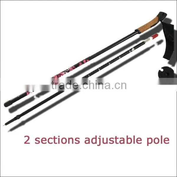 High Quality 2 Sections Folding Walking Stick Supplier's Choice photo-3