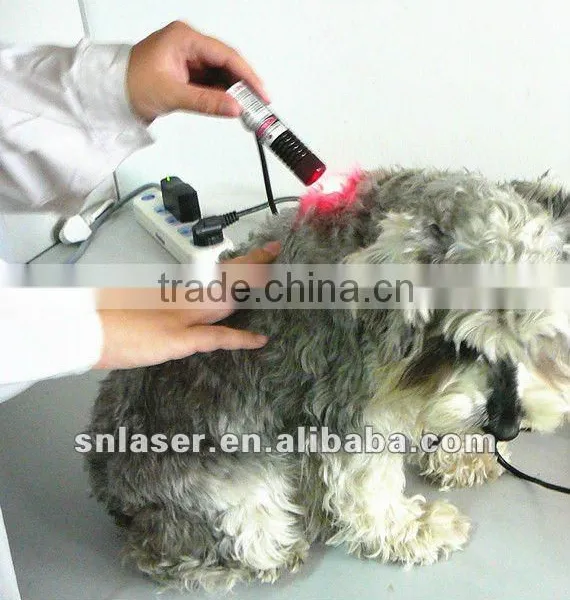 660nm & 810nm Veterinary Laser Instrument photo-5