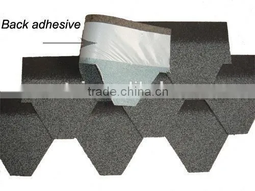 Colorful Asphalt Shingles for Roof Covering and Waterproofing photo-4