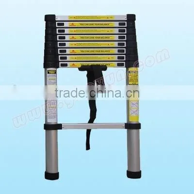Telescopic Ladder