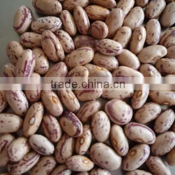 GMO Canned Light Red Kidney Beans,Speckled Kidney Beans photo-3