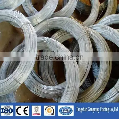 AISI Standard Galvanized Wire in Steel Wire photo-3