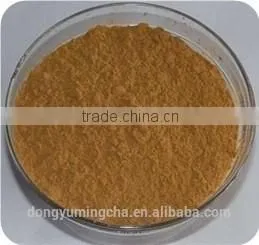 100% Natural Green Tea Extract Polyphenols 20%-98% EGCG 10%-95% Catechins 10%-90% HPLC photo-3