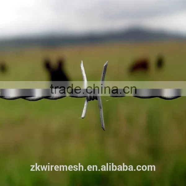 Hot-Dipped Galvanized Barbed Wire photo-3