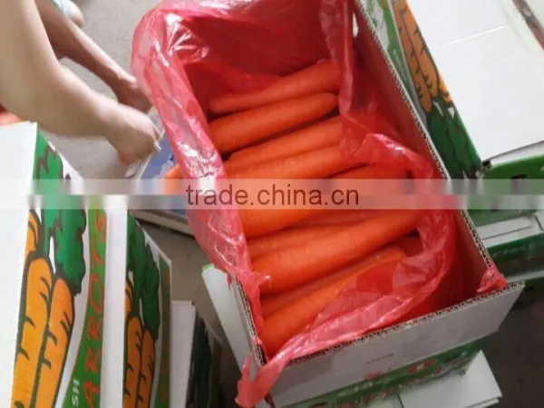 2014 Best Price Fresh Frozen Carrots Slice photo-2