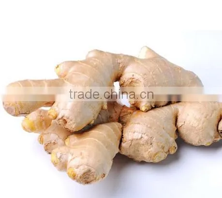 China air dry ginger professional supplier for Holland and Russia