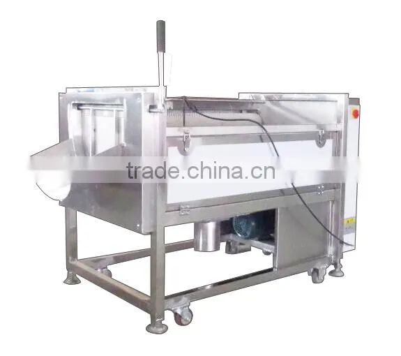 MSTP-500 High Efficiency Automatic Fresh Ginger Washing and Peeling Machine photo-5