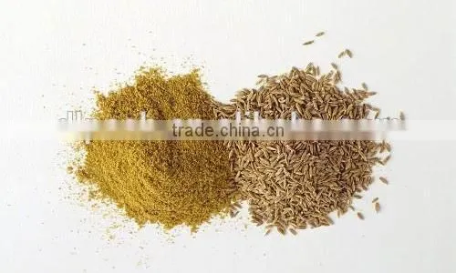 Cumin Seed