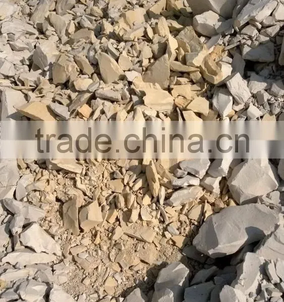 Diatomaceous Earth Powder photo-5
